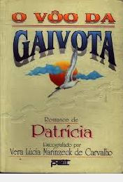 Livro Vôo da Gaivota, o Autor Carvalho, Vera Lúcia Marinzeck de (1996) [usado]