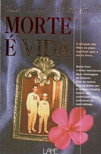 Livro Morte e Vida Autor Rosin, Zilda Giunchetti (1998) [usado]