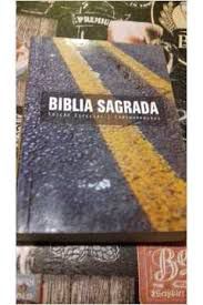 Livro Bíblia Sagrada ( Edição Especial/ Caminhoneiros) Autor Desconhecido (2000) [usado]