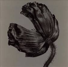 Cd Pet Shop Boys - Release Interprete Pet Shop Boys (2002) [usado]