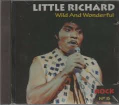 Cd Little Richard - Wild And Wonderful Rock Nº 5 Interprete Little Richard [usado]