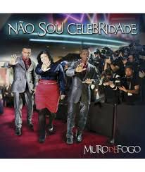 Cd Muro de Fogo - Não Sou Celebridade Interprete Muro de Fogo [usado]