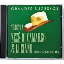 Cd Grandes Sucessos - Tributo a Zezé Di Camargo & Luciano Outros Intérpretes Interprete Vários [usado]