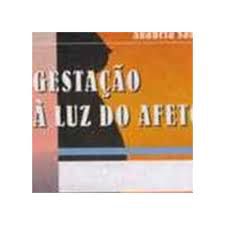 Livro Gestão À Luz do Afeto Autor Sabino, Anabela (2002) [usado]