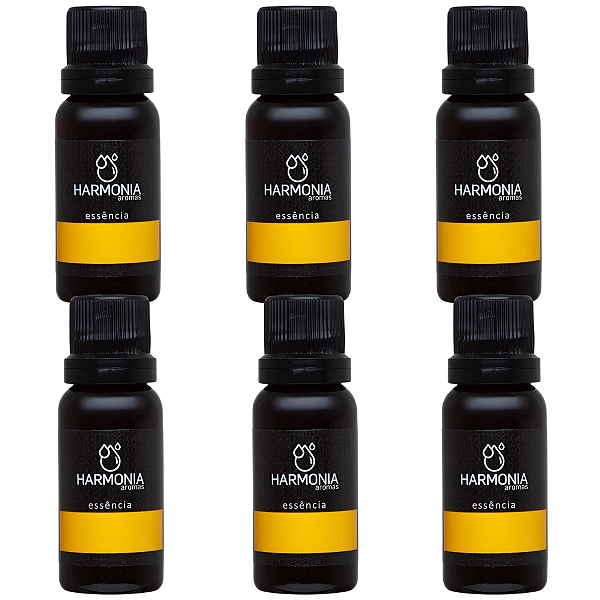 Kit 6 Amostras Essência Perfume Árabe Feminino 20ml