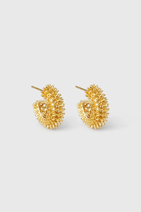 Brinco Argola Spikes