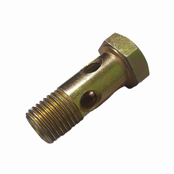 Parafuso Oco com 04 Furos