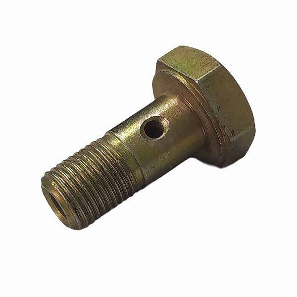 Parafuso Oco com 02 Furos