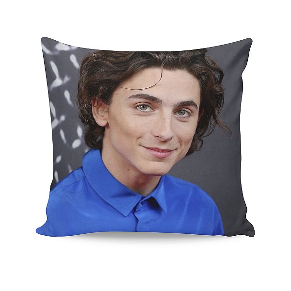Almofada Timothee Chalamet Duna Foto Sorrindo
