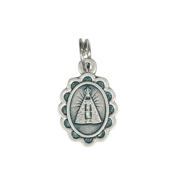 Flor de Nossa Senhora Aparecida