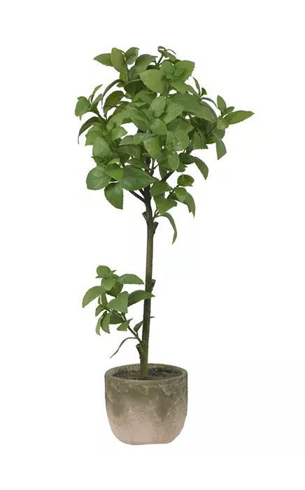 Planta Artificial Manjericão Verde 78cm