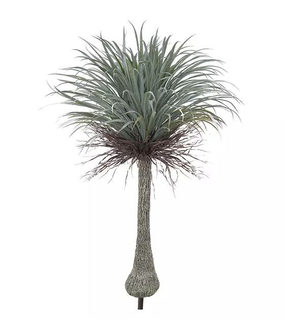 Planta Árvore Artificial Yucca Com Frosted Verde 1,5m