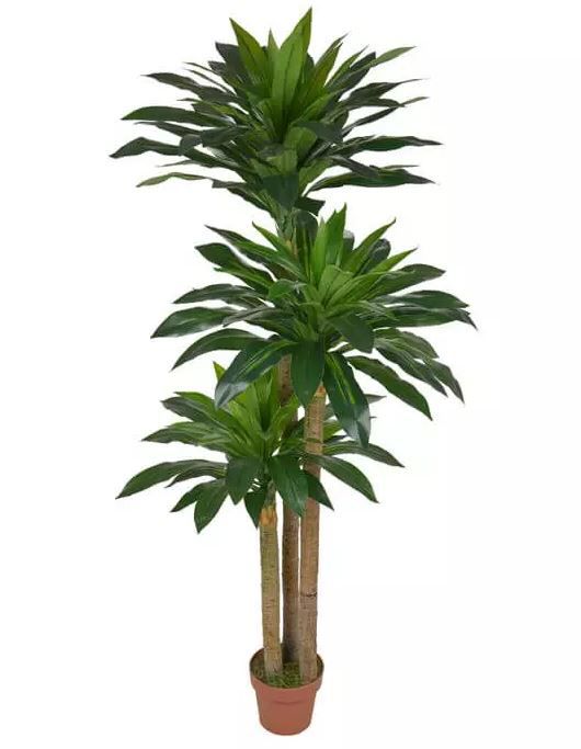 Planta Árvore Artificial Dracena Real Toque Verde 1,8m