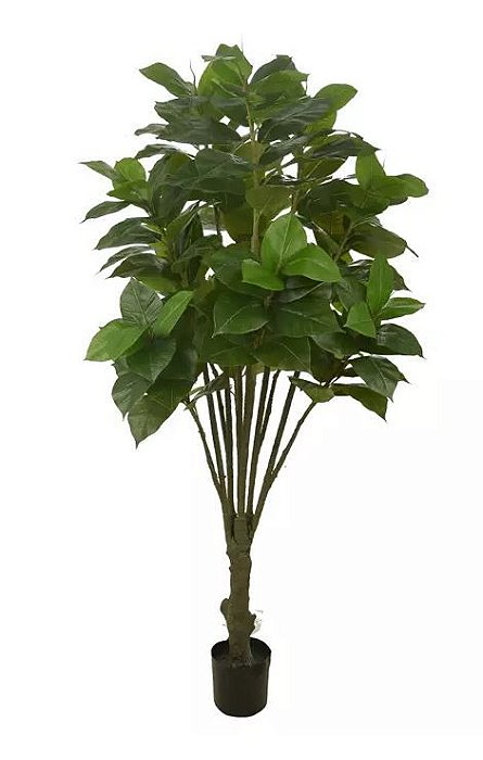 Planta Árvore Artificial Ficus Elástica Real Toque Verde 1,8m
