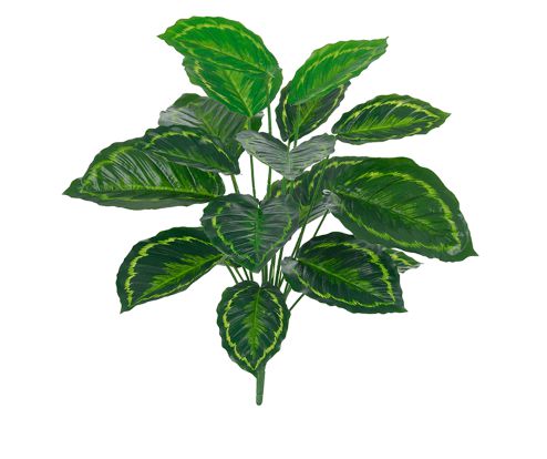 Planta Árvore Artificial Comigo-Ninguém-Pode Real Toque Verde 60m