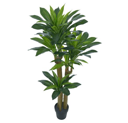 Planta Árvore Artificial Dracena Pau D'água Verde de 1,5m