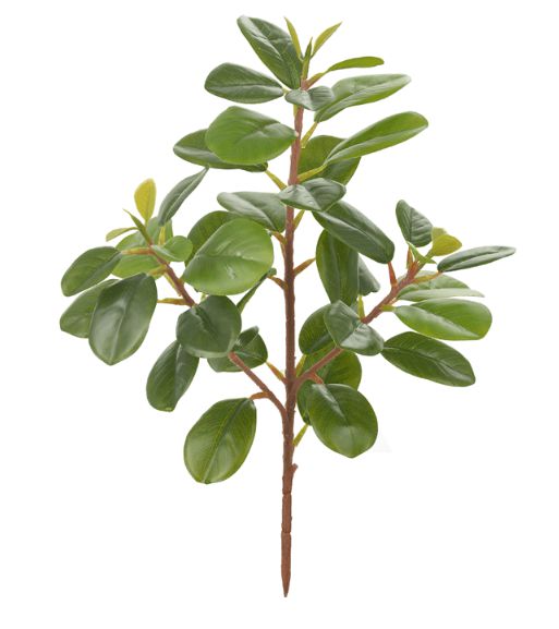Folhagem Artificial Clúsia Verde Real Toque 33cm