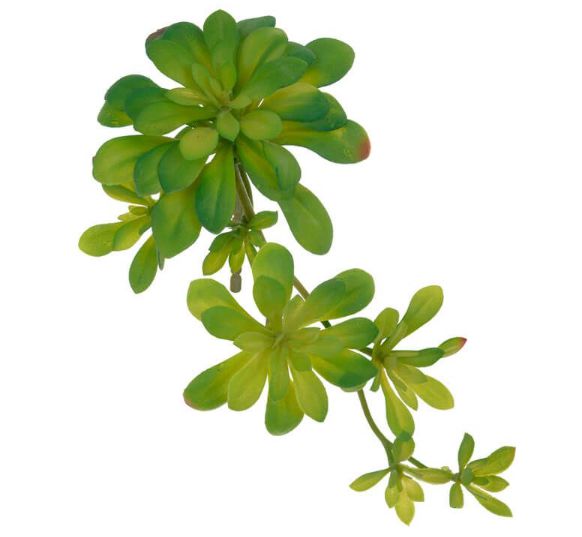 Folhagem Suculenta Artificial Verde em 2 Tons 18cm