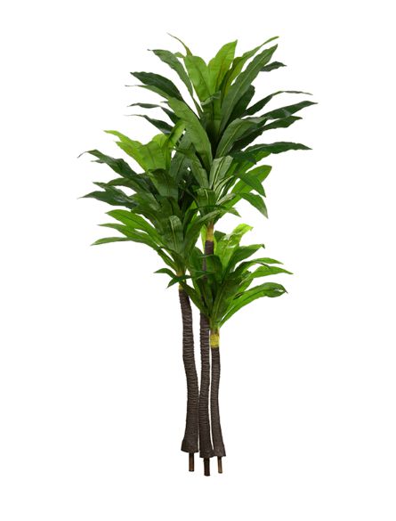 Planta Árvore Artificial Dracena Real Toque Verde 2m
