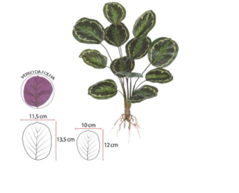 Planta Árvore Artificial Calathea Real Toque Creme Verde 2T 56cm
