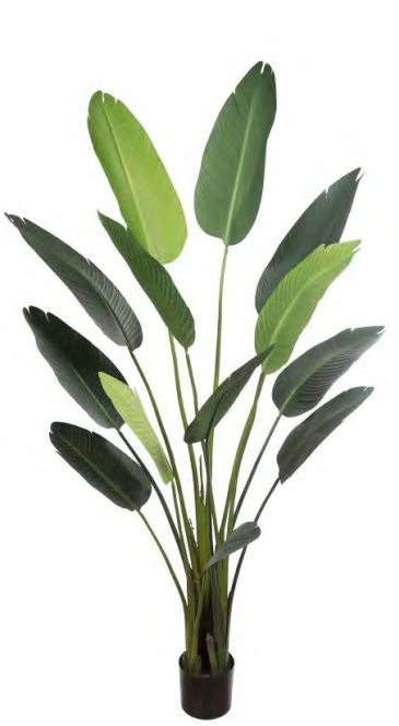 Planta Árvore Artificial Bananeira de Jardim Pu C/Pote X13 Verde 1,8m