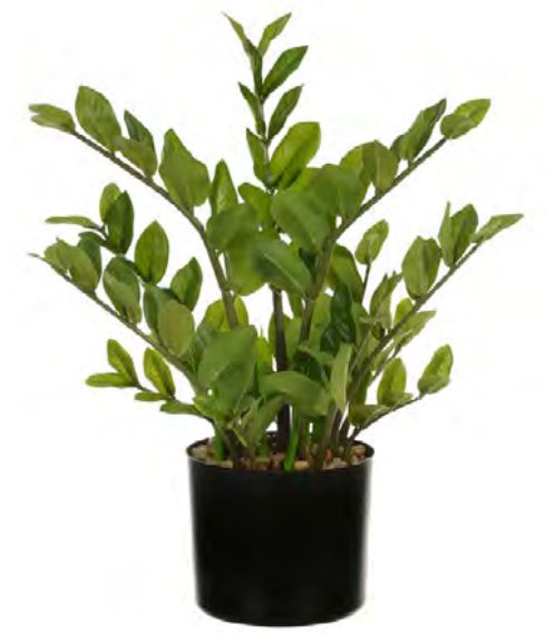 Planta Árvore Artificial Zamioculca Real Toque C/Pote X126 Verde 50cm
