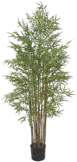 Planta Árvore Artificial Bambu Japones C/Pote X2640 Verde 1,90m