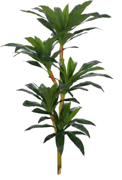 Planta Árvore Artificial Dracena Real Toque X81 Verde 1,25m