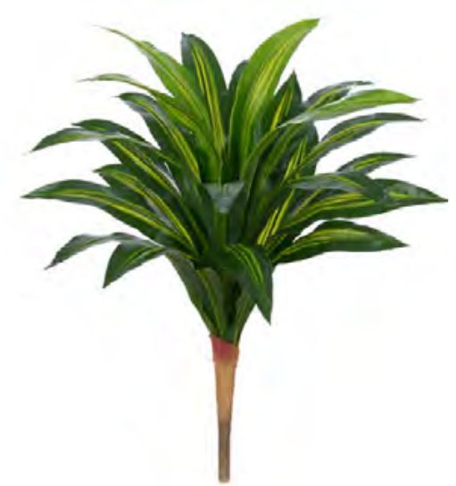 Planta Árvore Artificial Dracena Real Toque X24 Verde Creme 90cm