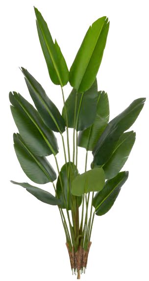 Planta Árvore Artificial Bananeira de Jardim Real Toque X13 Verde 1,8m