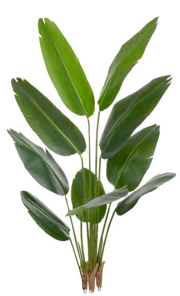 Planta Árvore Artificial Bananeira de Jardim Real Toque X10 Verde 1,60m