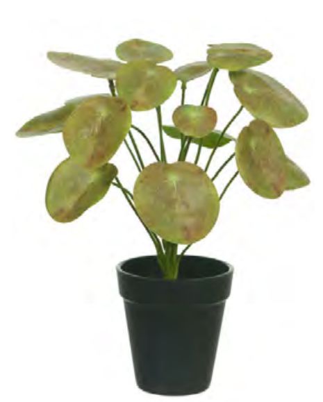Planta Árvore Artificial Pílea Real Toque X16 Verde 30cm