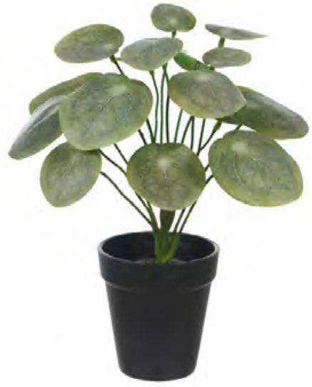 Planta Árvore Artificial Pílea Real Toque X16 Verde 30cm