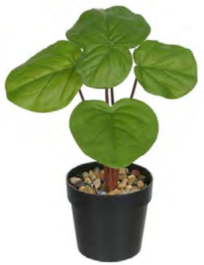 Planta Árvore Artificial Pílea Real Toque X5 Verde 24cm