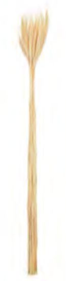 Folhagem Trigo C/20 Haste Desidratado Alvejado 65cm