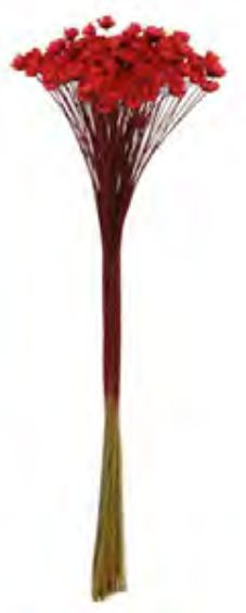 Folhagem Sempre Viva Desidratado Vermelho 34cm
