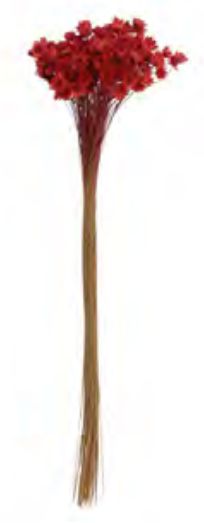Folhagem Sempre Viva Desidratado Laranja Outono 34cm