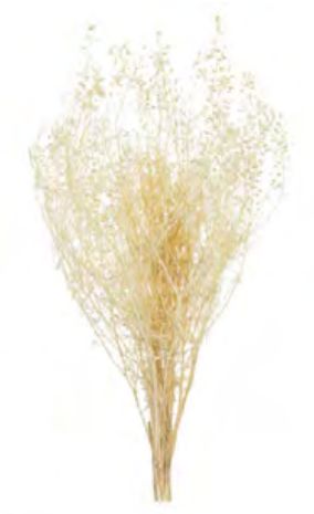Folhagem Sementinha Desidratado Alvejado 40cm