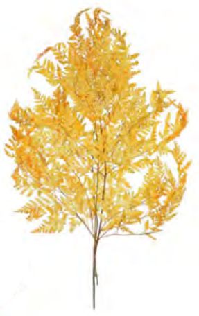 Folhagem Samambaia Desidratado C/3 Hastes Amarelo Dourado 50cm