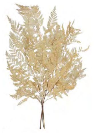 Folhagem Samambaia Desidratado C/3 Hastes Alvejado 50cm