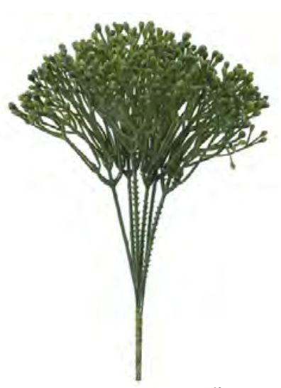 Folhagem Artificial Pick Carinho De Mãe C/Print X5 Verde 20cm com 6 hastes