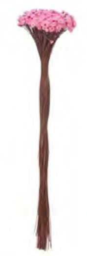 Folhagem Sempre Viva Desidratado Rosa Claro 40cm