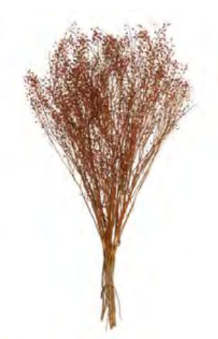 Folhagem Sementinha Desidratado Laranja Outono 40cm