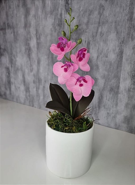 Arranjo De Mini Orquídea Rosa Vaso Branco Redondo