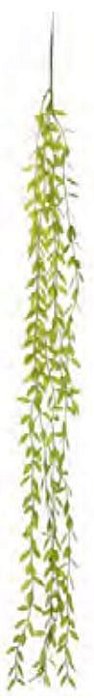 Planta Artificial Pendentes Folha C/Print Verde 1,02cm