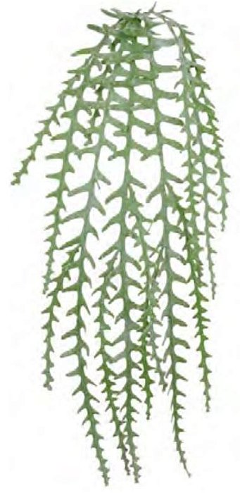 Planta Artificial Pendentes Samambaia Real Toque C/Flocked Verde 1,03cm