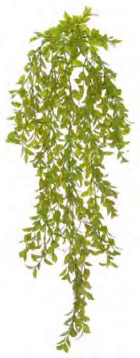 Planta Artificial Pendentes Folha C/Print Verde 80cm