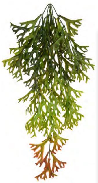 Planta Artificial Pendentes Folhagem Chifre De Veado Pendurar Laranja Outono 80cm