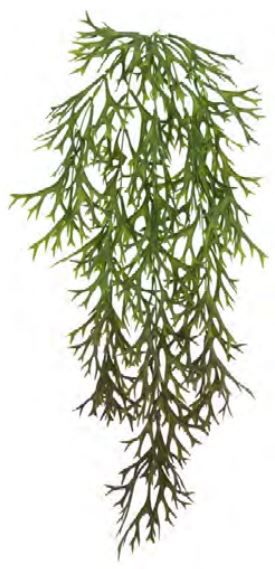 Planta Artificial Pendentes Chifre De Veado Verde Outono 76cm
