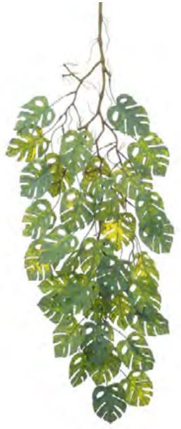 Planta Artificial Pendentes Costela De Adão C/Print Verde 1,05cm